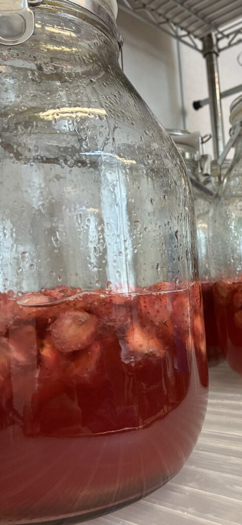 Home 酵素シロップ